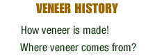 History of Veneer