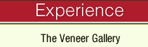 Experience The Veneer Gallery